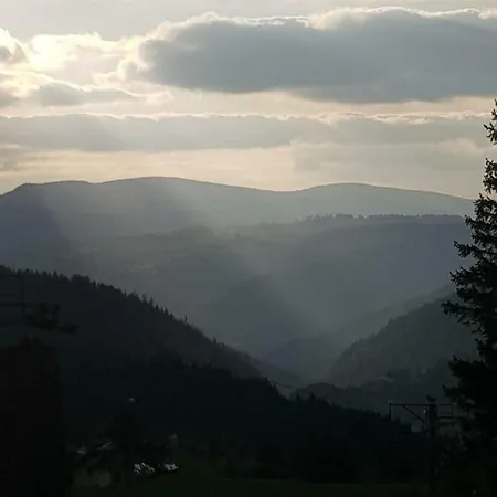 Panorama View *